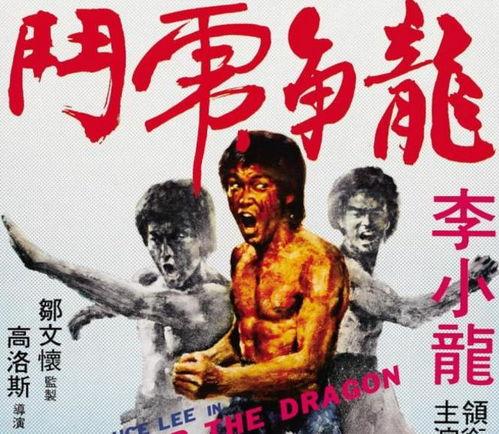 龙争虎斗电影在线观看,巅峰对决，热血激战在线放送  第3张